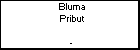 Bluma Pribut