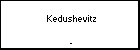  Kedushevitz